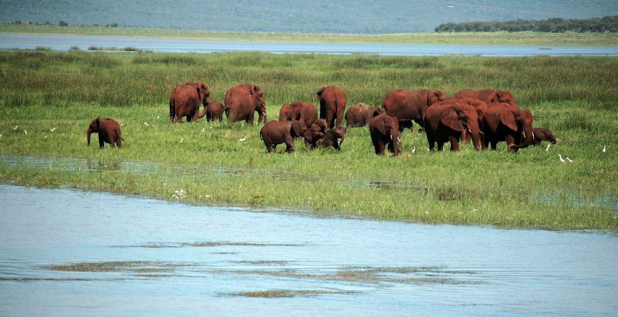 Shayamoya Tiger Fishing And Game Lodge Pongola Ngoại thất bức ảnh